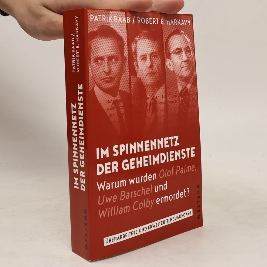 Patrik Baab Im Spinnennetz der Geheimdienste