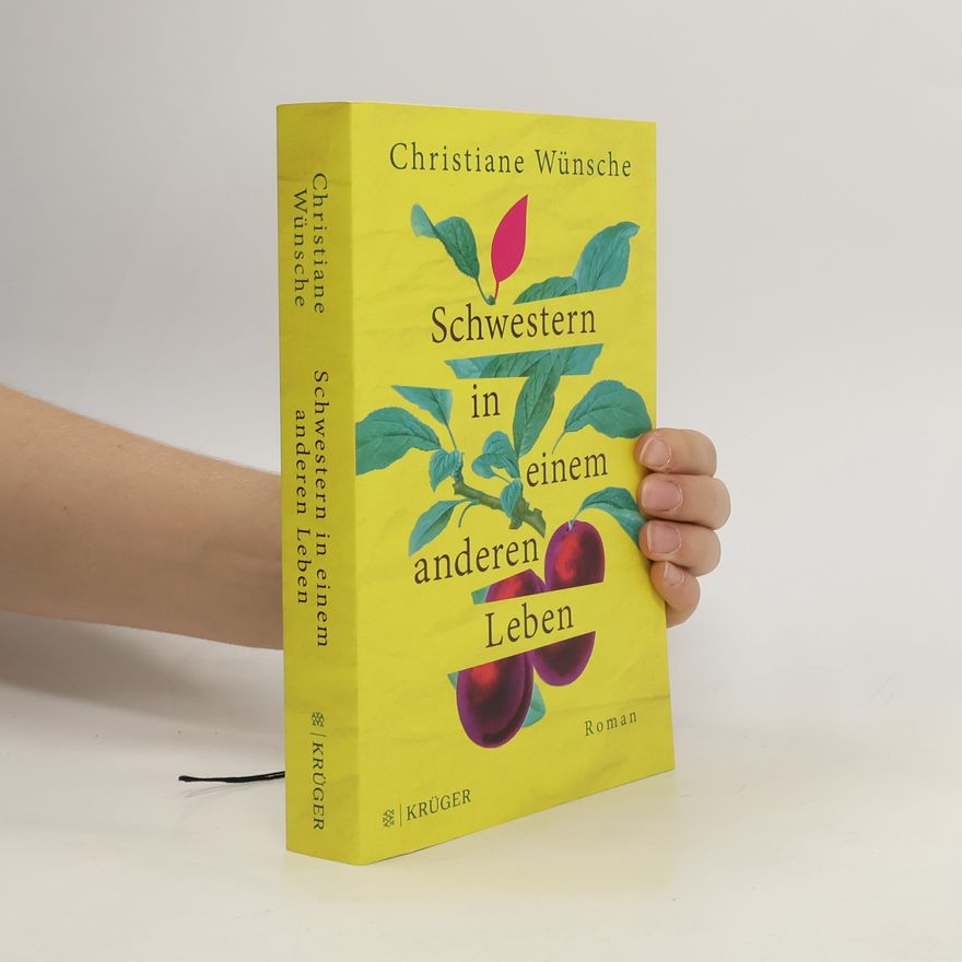 Christiane Wünsche Schwestern in einem anderen Leben