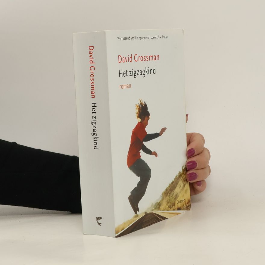 David Grossman Het zigzagkind