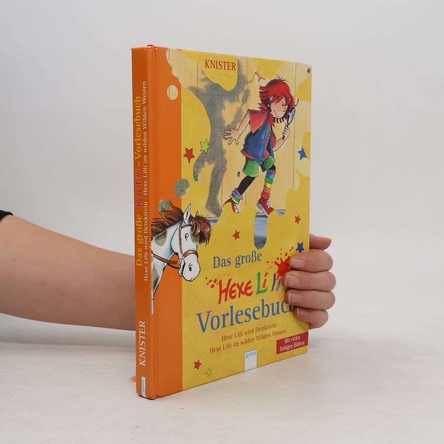 Knister Das große Hexe Lilli Vorlesebuch. Bd.3
