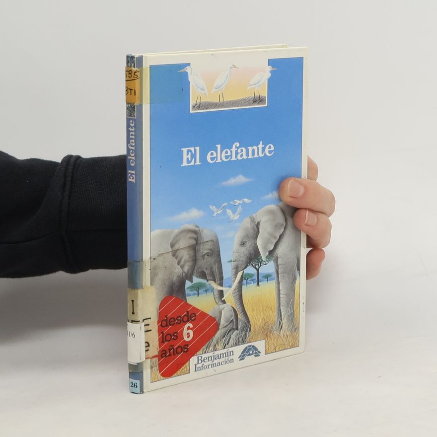 René Mettler El Elefante