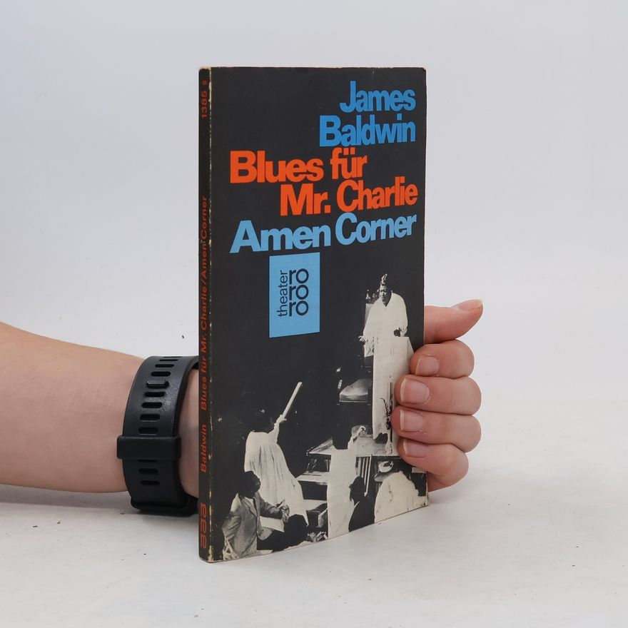 James Baldwin Blues für M. Charlie