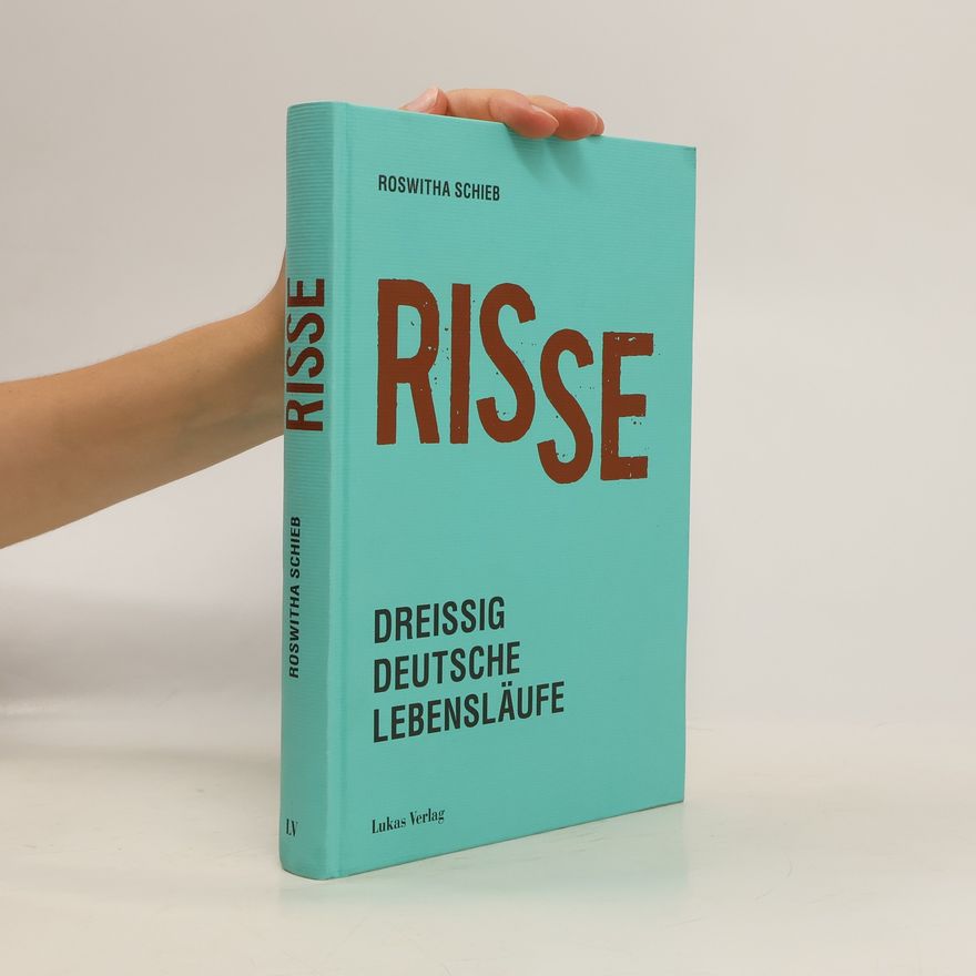 Roswitha Schieb Risse