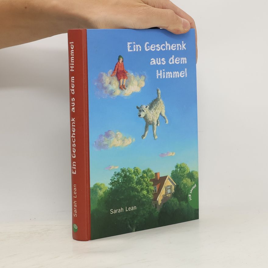 Sarah Lean Ein Geschenk aus dem Himmel