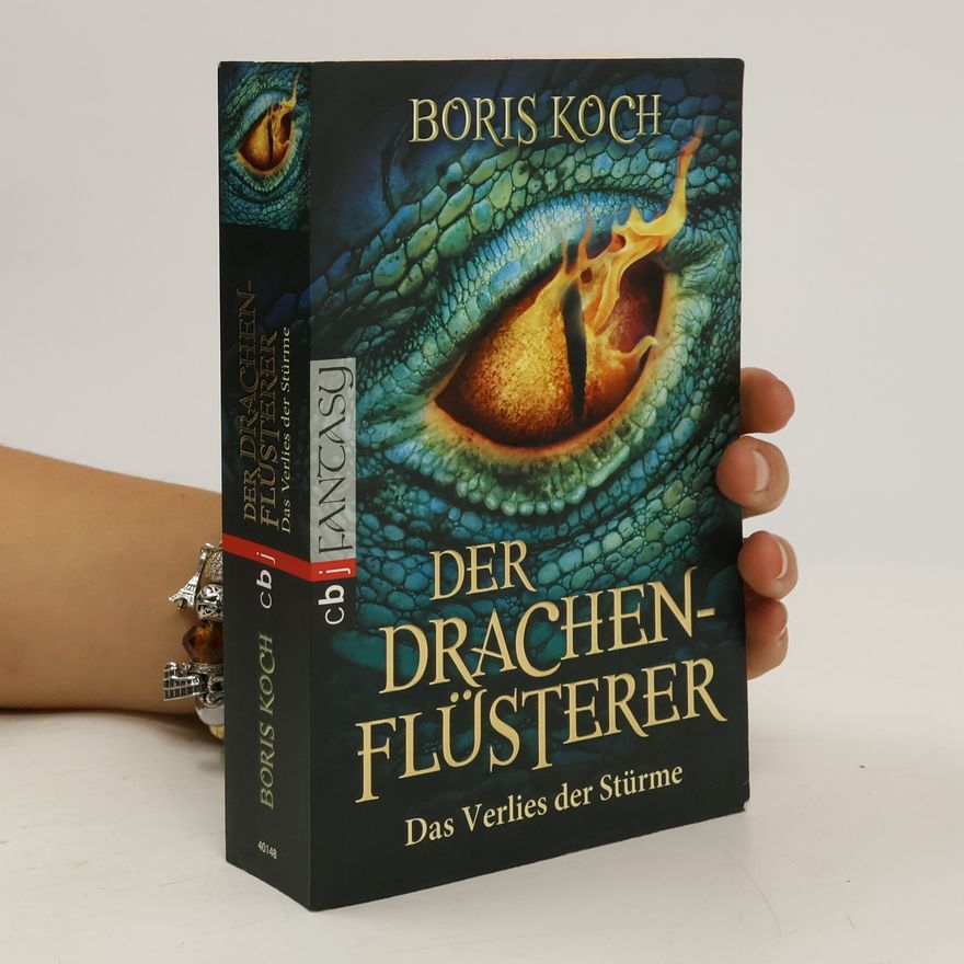 Boris Koch Der Drachenflüsterer - das Verlies der Stürme