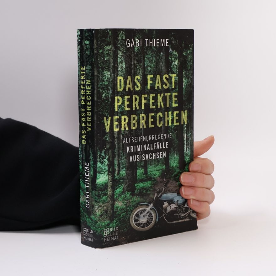 Gabi Thieme Das fast perfekte Verbrechen