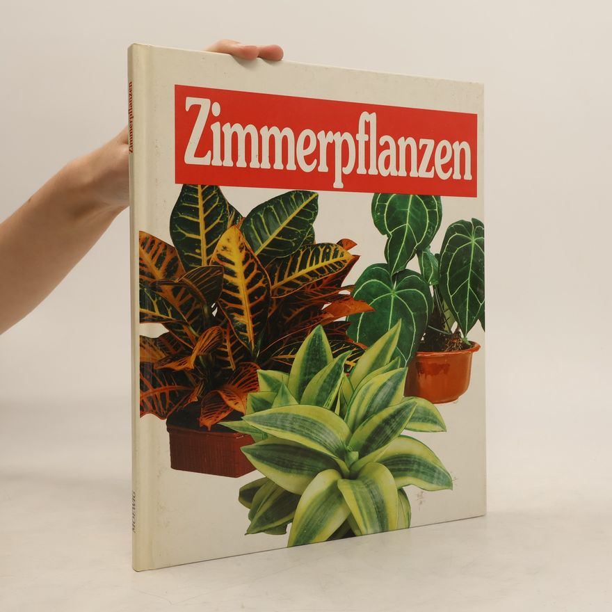 Esther Dorn Zimmerpflanzen