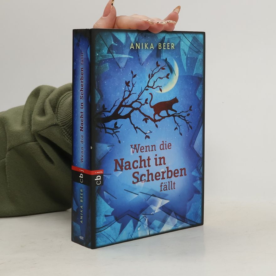 Anika Beer Wenn die Nacht in Scherben fällt