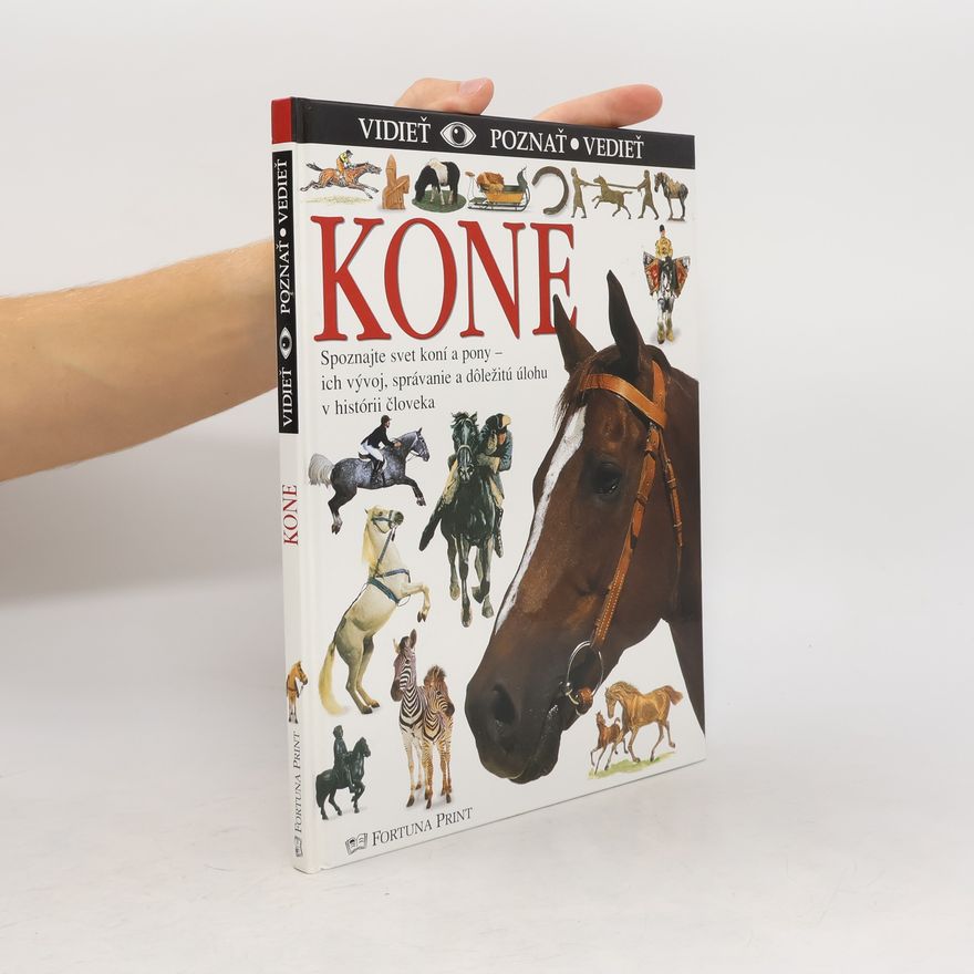 Kolektív autorov Kone