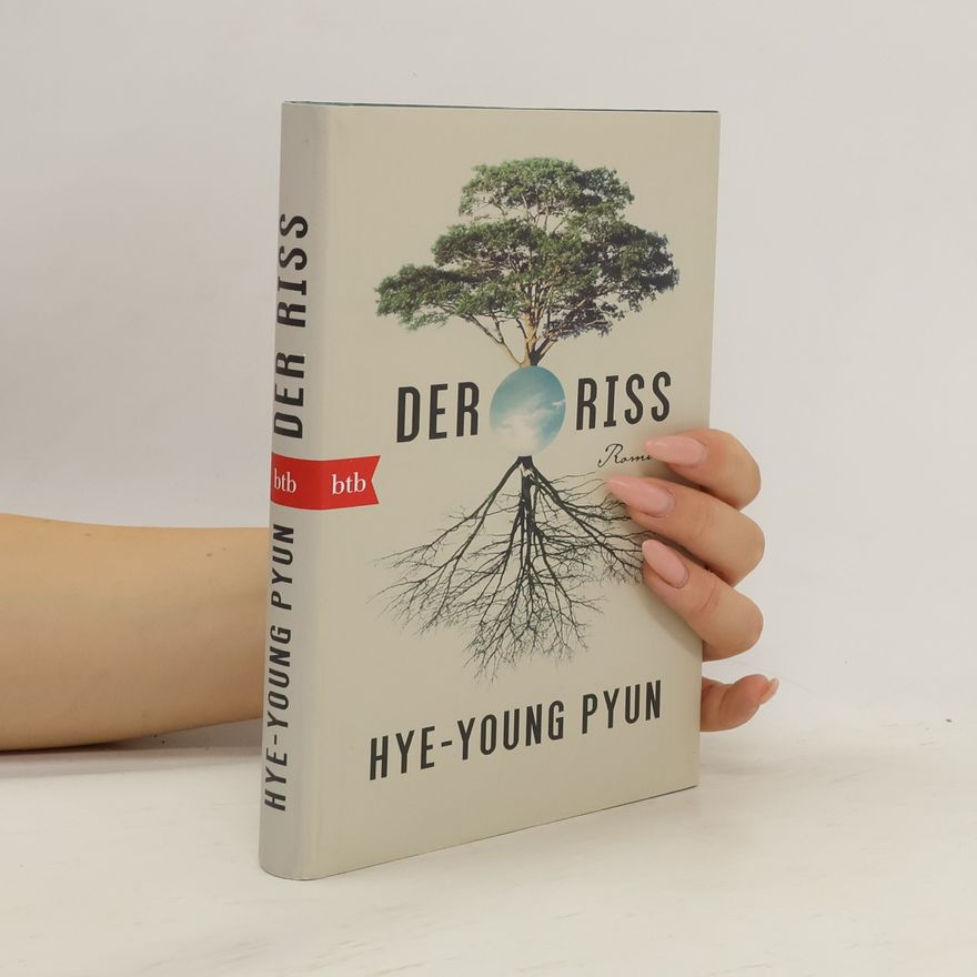 Hye yeong Pyeon Der Riss