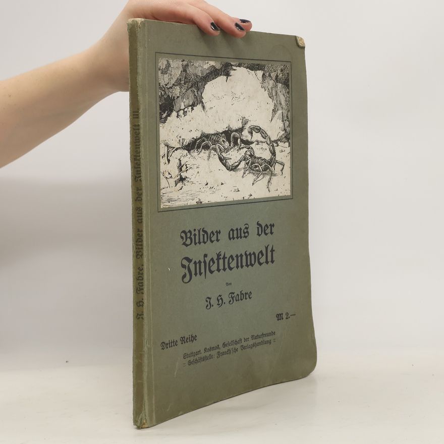 Jean-Henri Fabre Bilder aus der Insektenwelt
