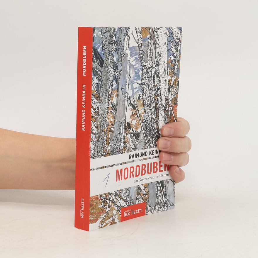 Raimund Keinrath Mordbuben. Ein Geschriebenstein-Krimi