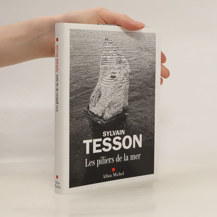 Sylvain Tesson Les piliers de la mer