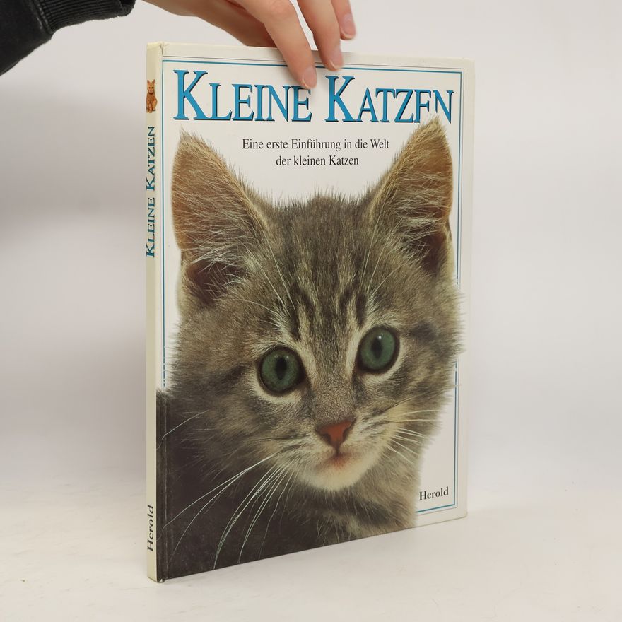 Carey Scott Kleine Katzen