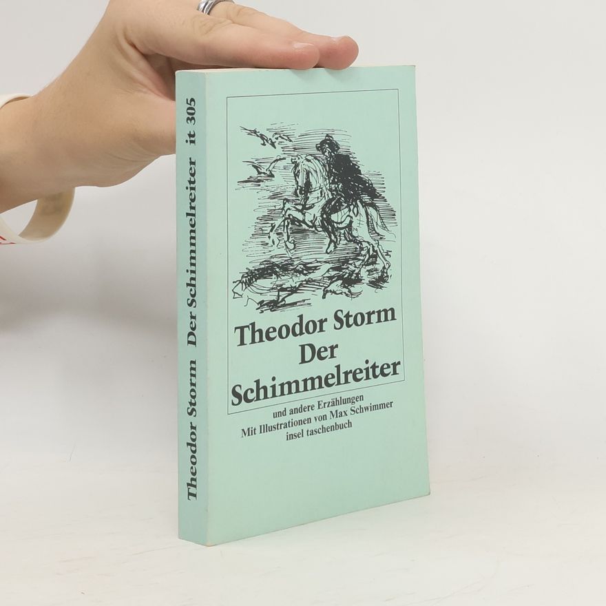 Max Schwimmer Insel Taschenbuch - 305: Der Schimmelreiter und andere Erzählungen