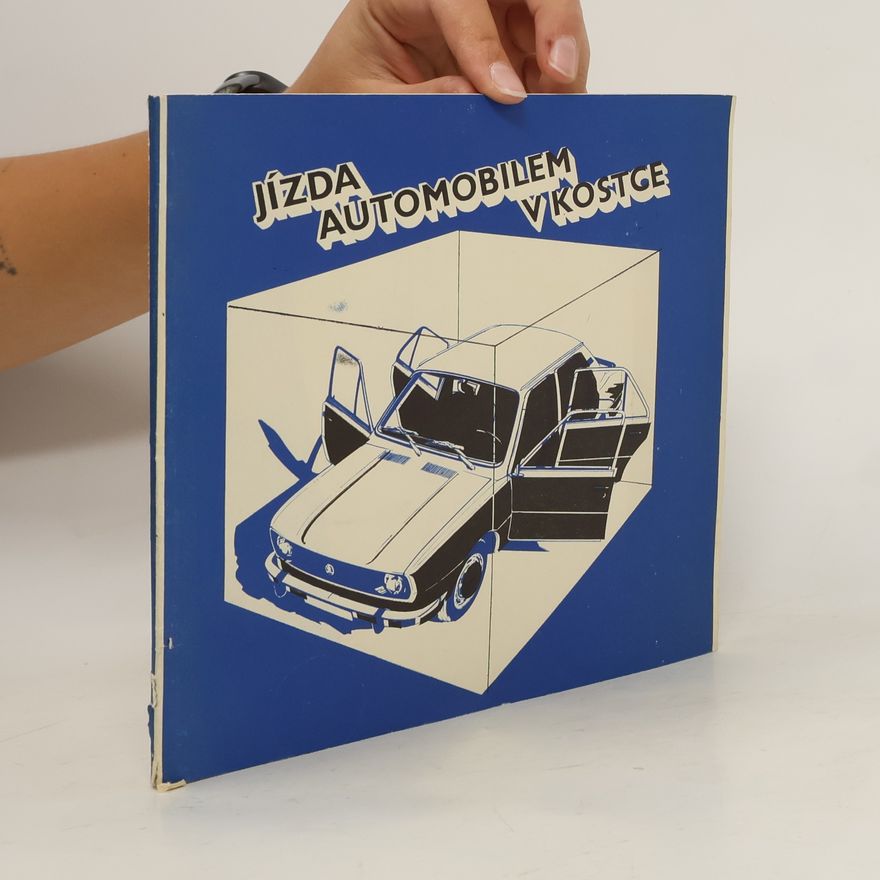 Kolektív autorov Jízda automobilem v kostce
