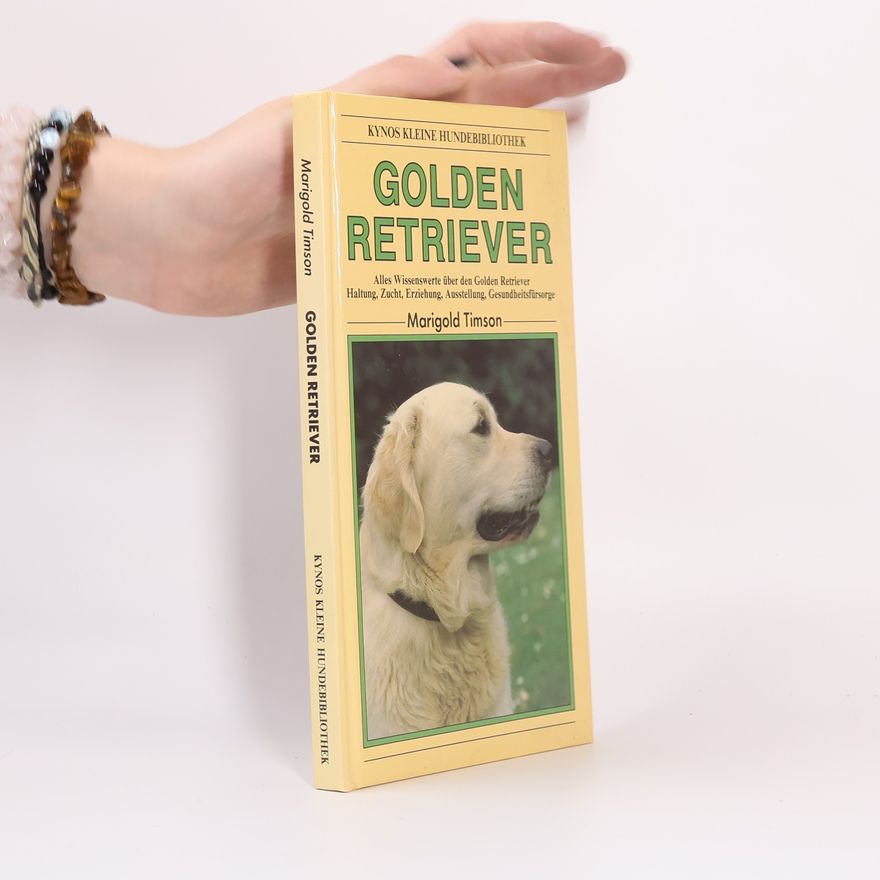 Marigold Timson Golden Retriever