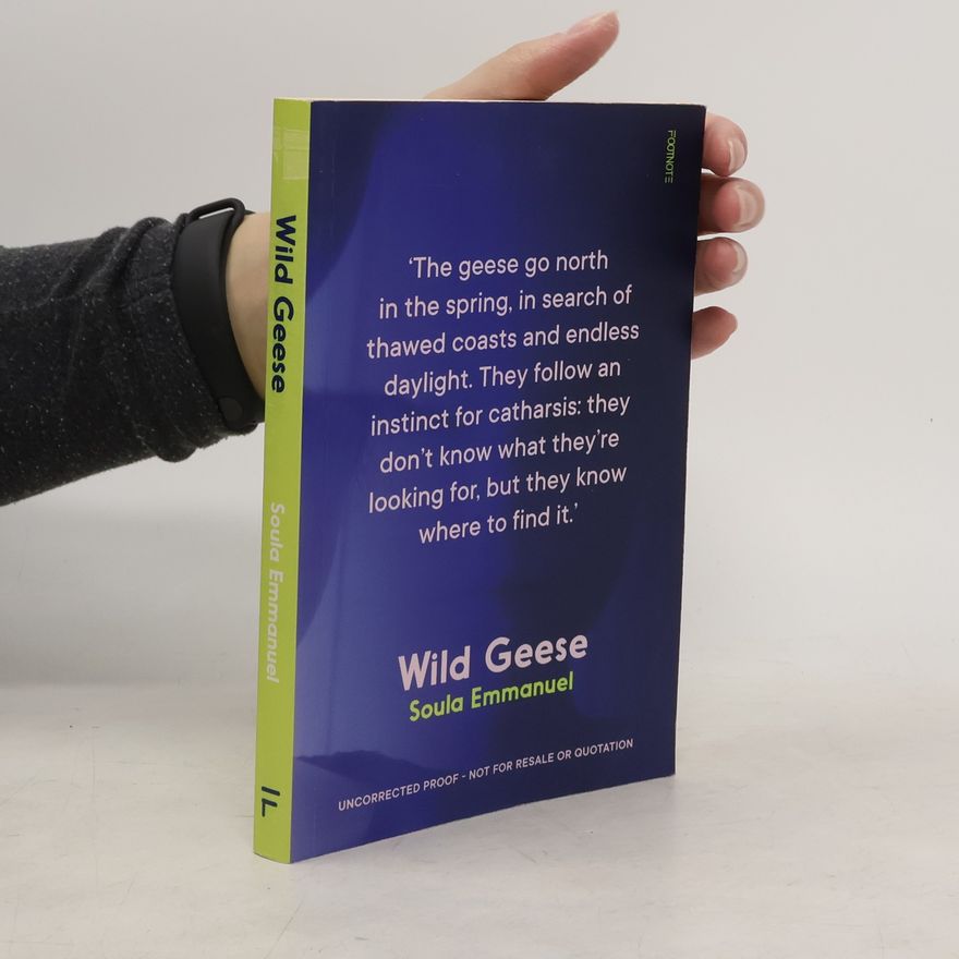 Soula Emmanuel Wild Geese