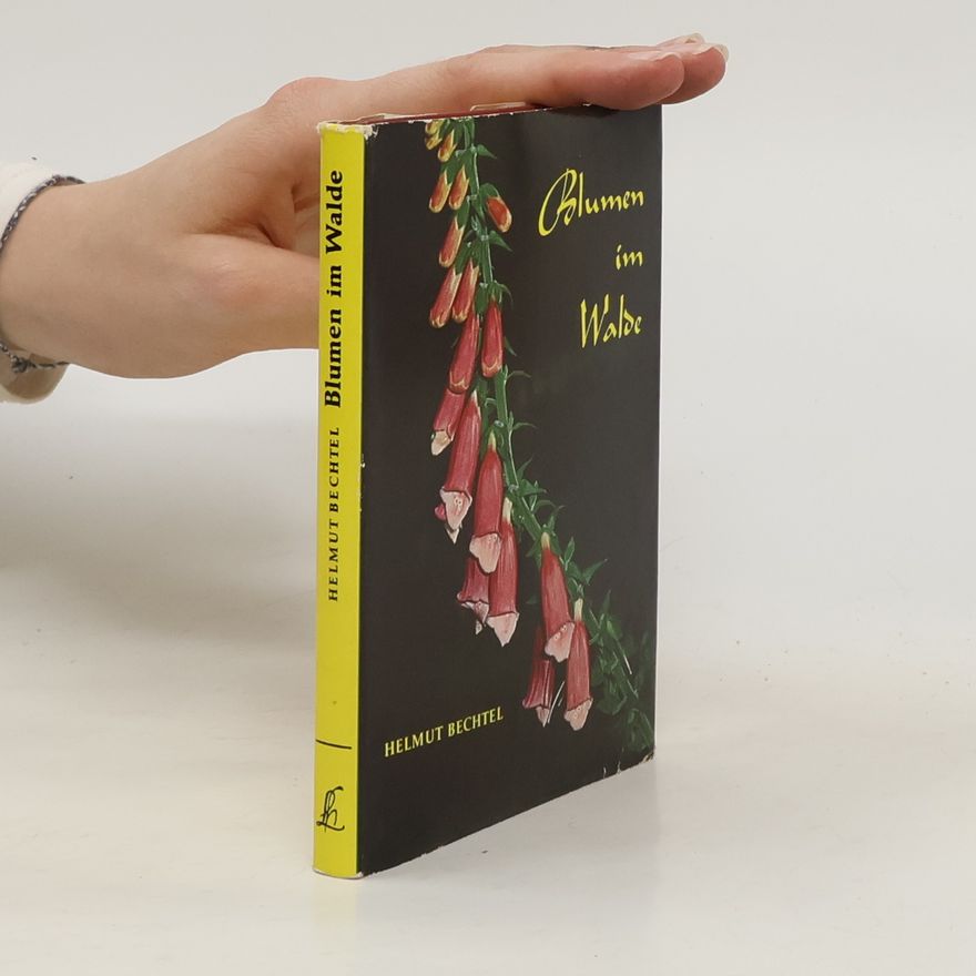 Helmut Bechtel Blumen im Walde