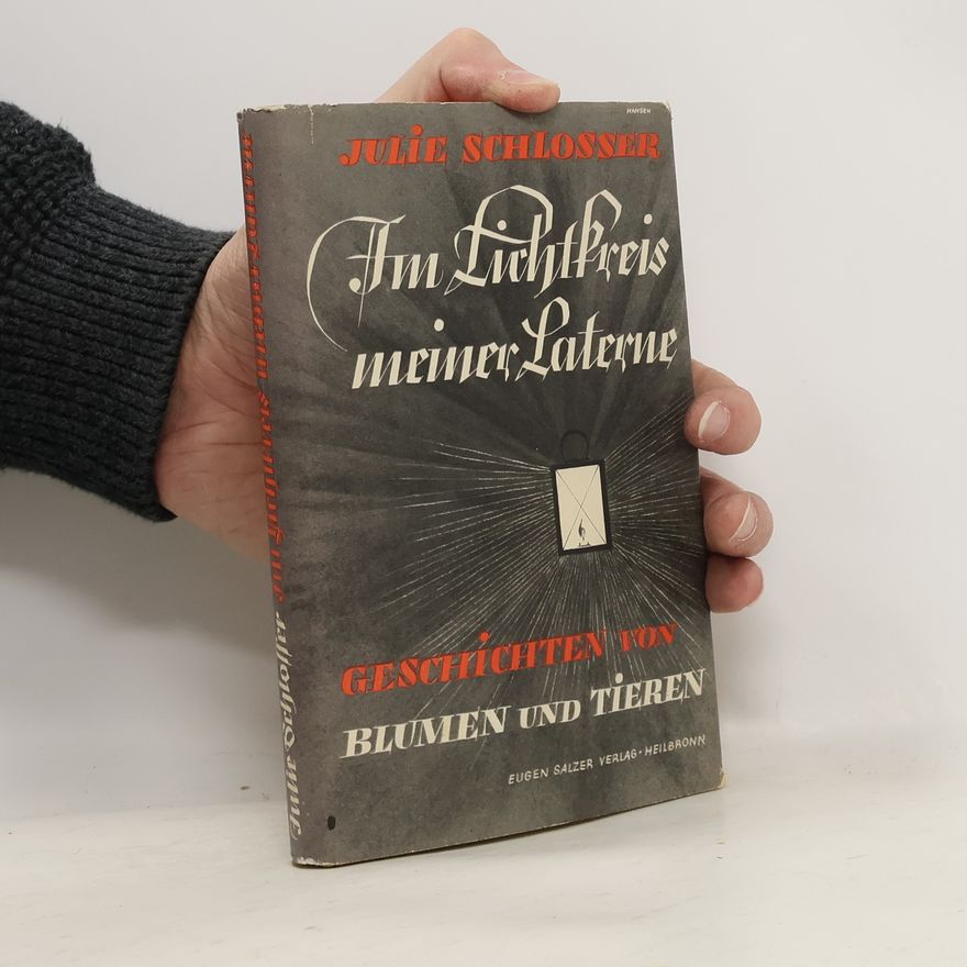 Julie Schlosser Im Lichtkreis meiner Laterne