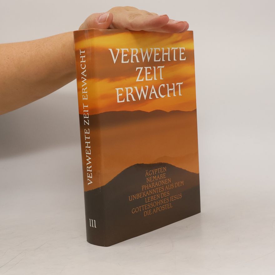 Kolektiv autorů Verwehte Zeit Erwacht III