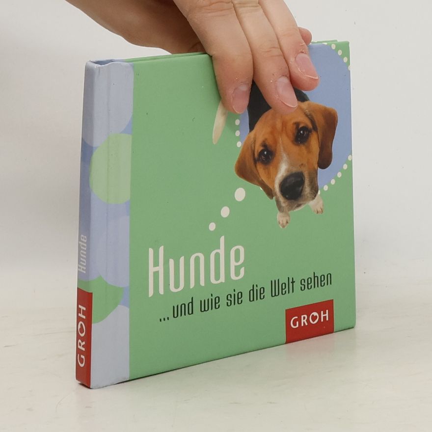 Lilly Brown Hunde ... und wie sie die Welt sehen