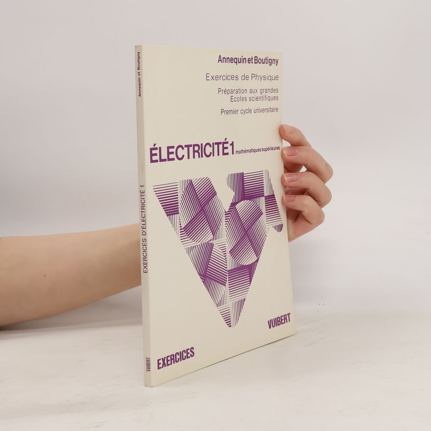 Rémi Annequin Électricité 1