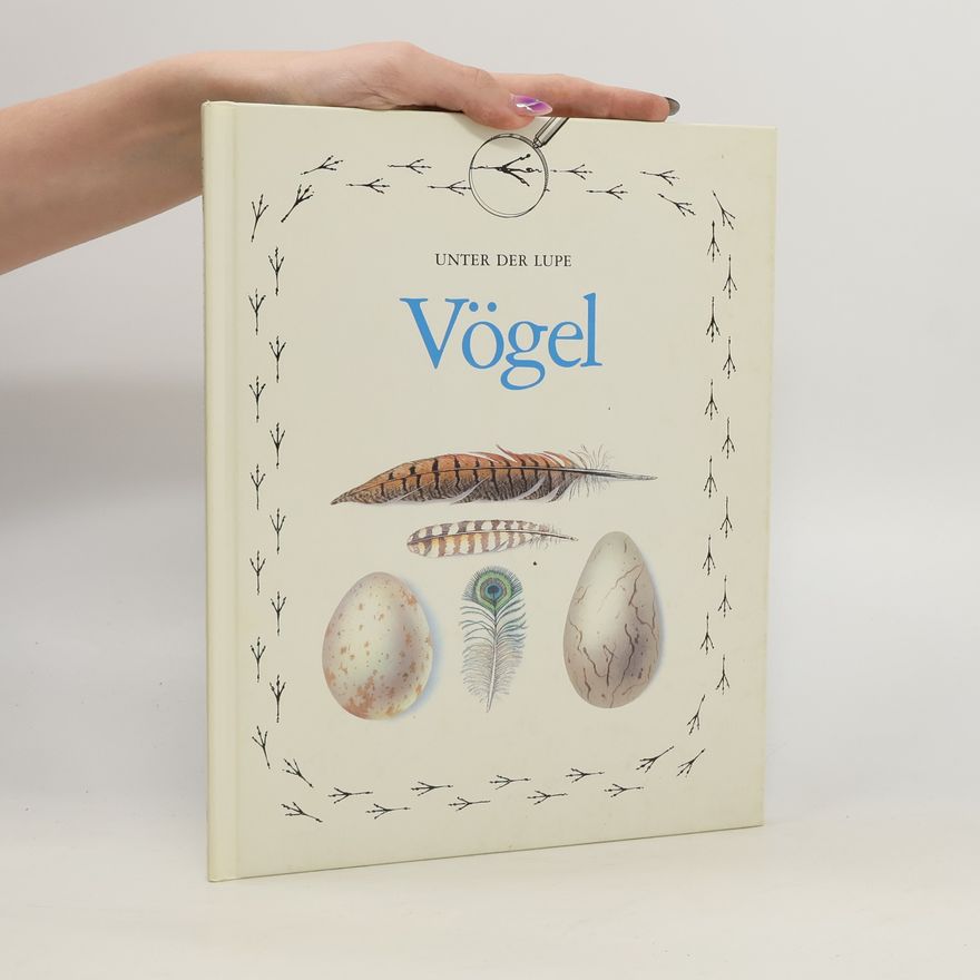 Danny Flynn Vögel