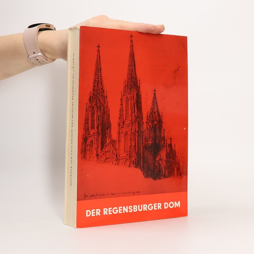 Kolektív autorov Der regensburger Dom
