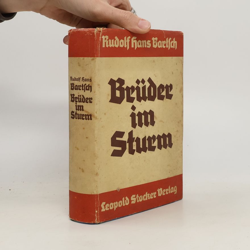 Rudolf Hans Bartsch Brüder im Sturm
