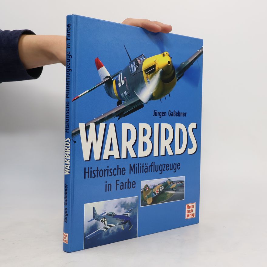 Jürgen Gaßebner Warbirds