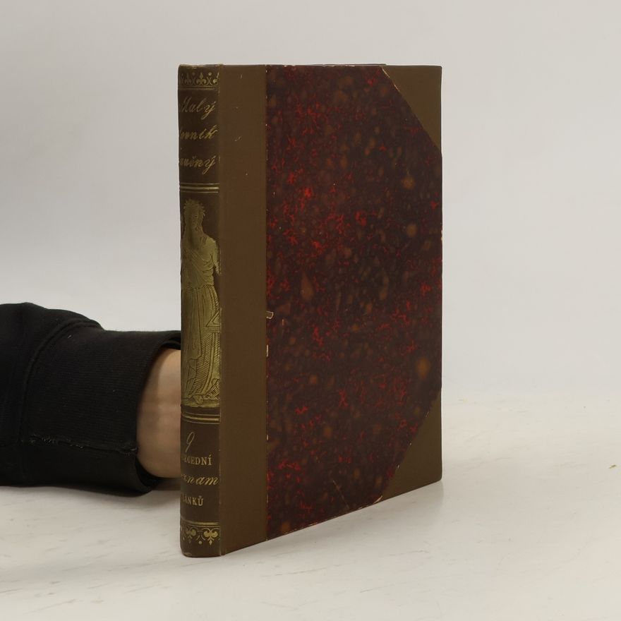 Collectif d'auteurs Malý slovník naučný 9