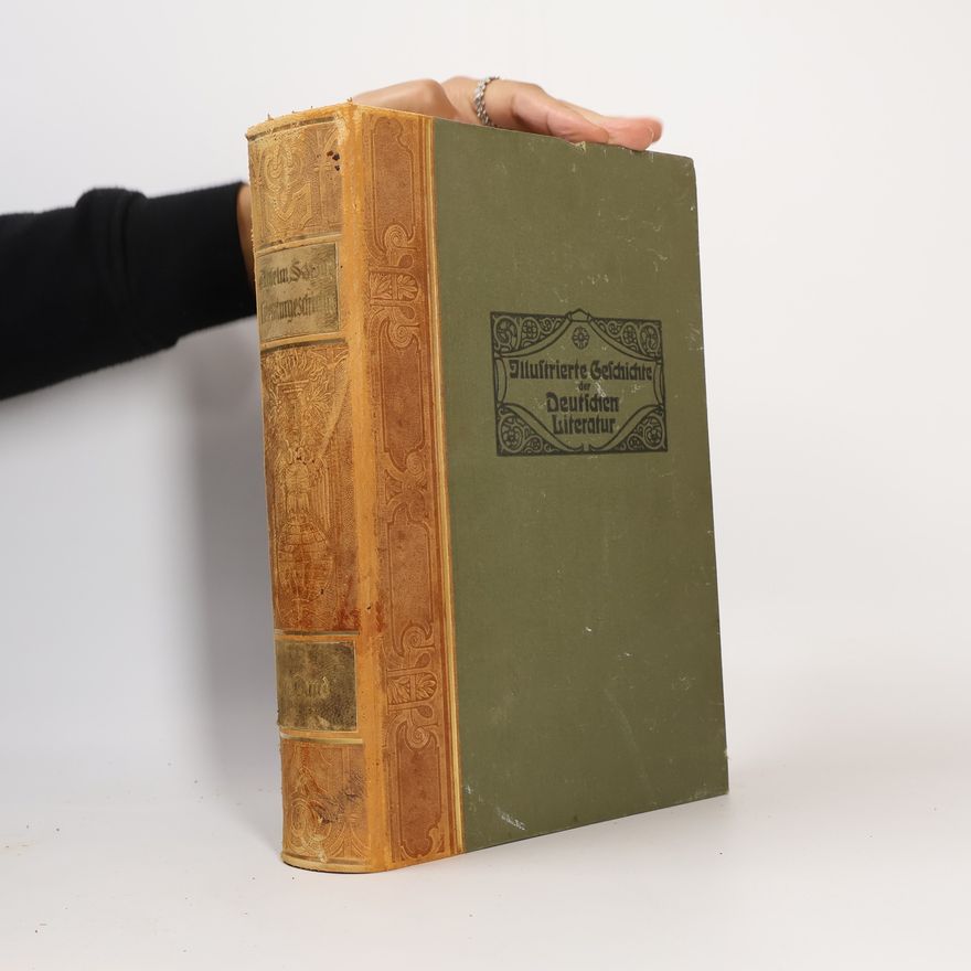Anselm Salzer Illustrierte Geschichte der Deutschen Literatur I.