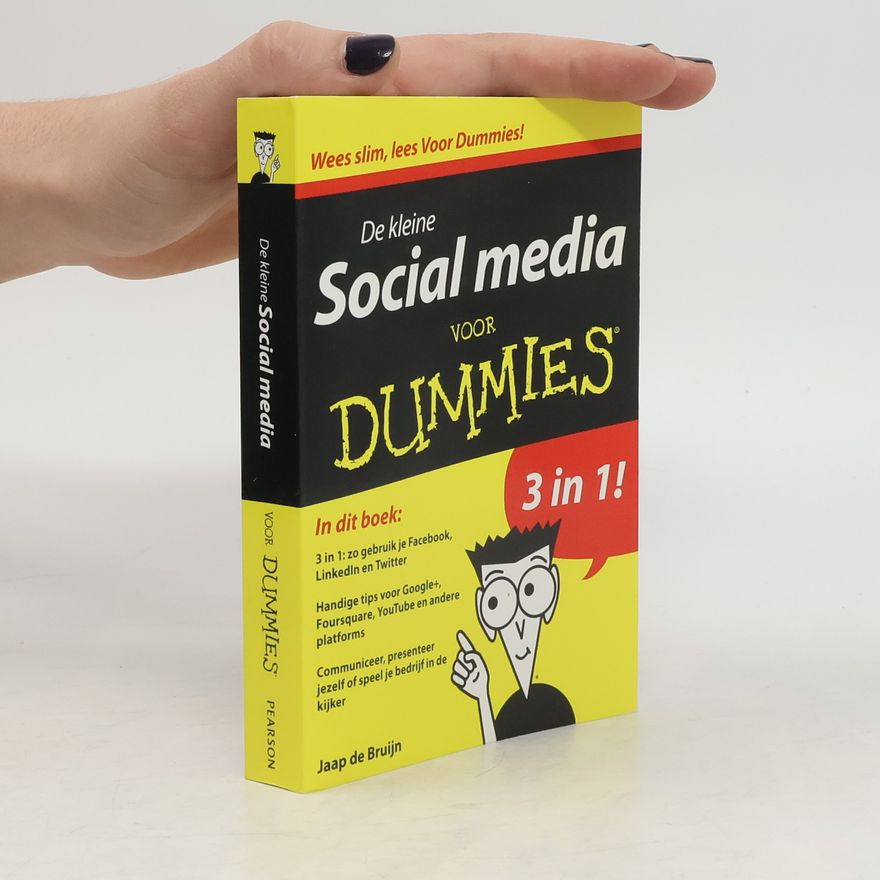 Kolektív autorov De kleine social media voor Dummies
