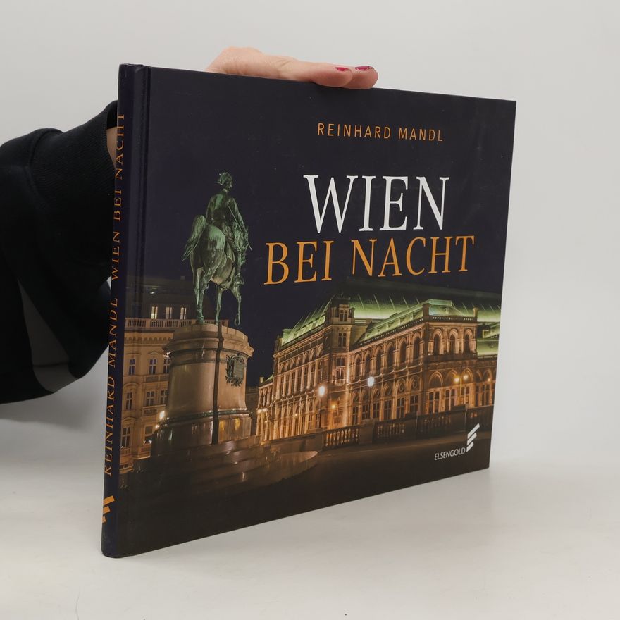 Reinhard Mandl Wien bei Nacht