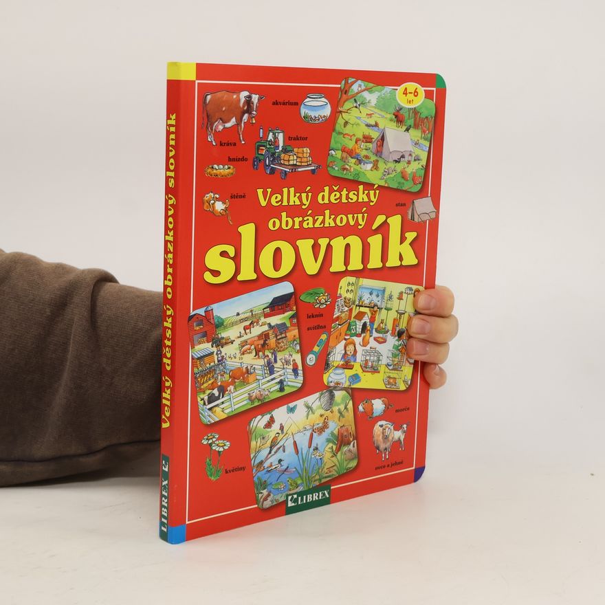 Autorenkollektiv Velký dětský obrázkový slovník
