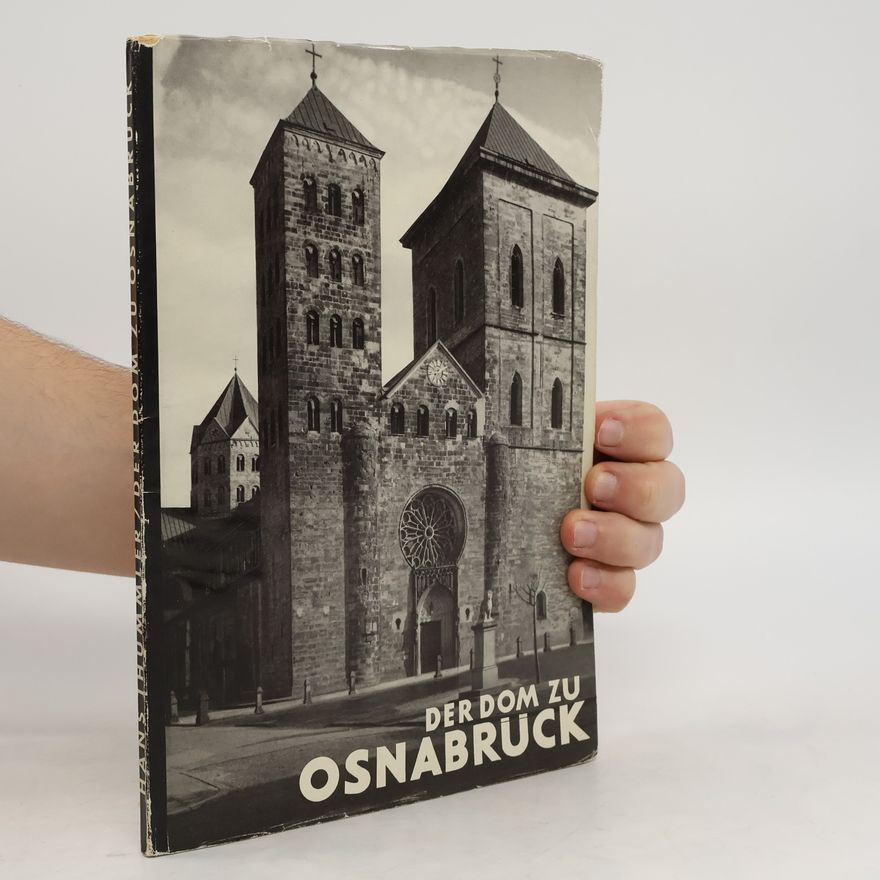Burkhard Meier Der Dom zu Osnabrück