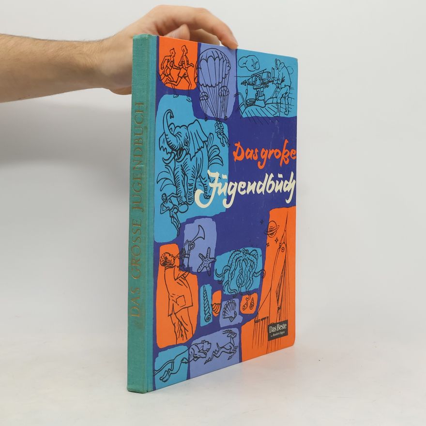 Kolektiv autorů Das große Jügendbuch