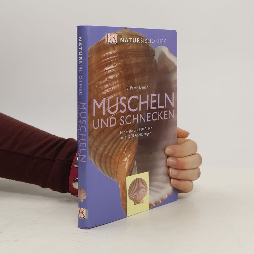 S. Peter Dance Muscheln und Schnecken