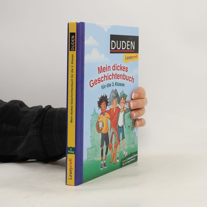 Bernhard Hagemann Mein dickes Geschichtenbuch für die 3. Klasse