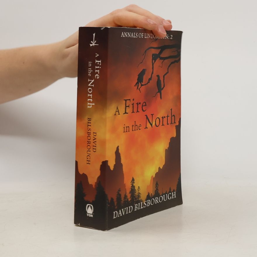 David Bilsborough Fire In The North