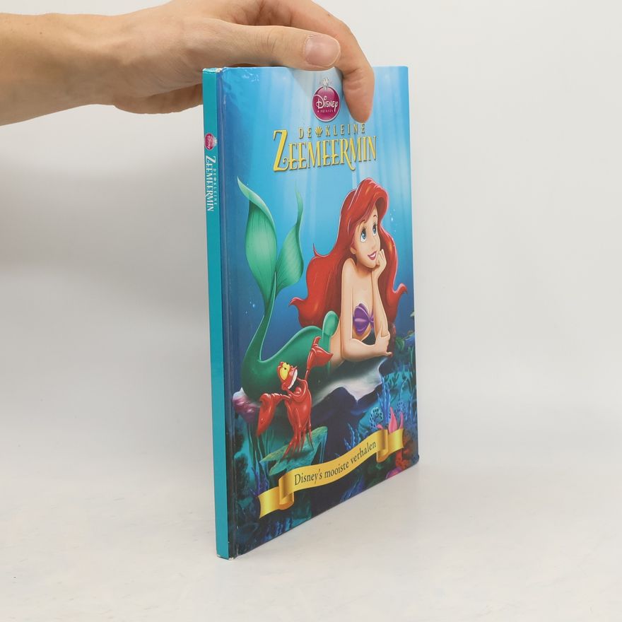 Kolektív autorov De kleine zeemeermin
