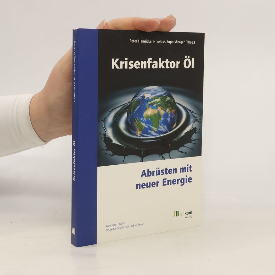 Peter Hennicke Krisenfaktor Öl