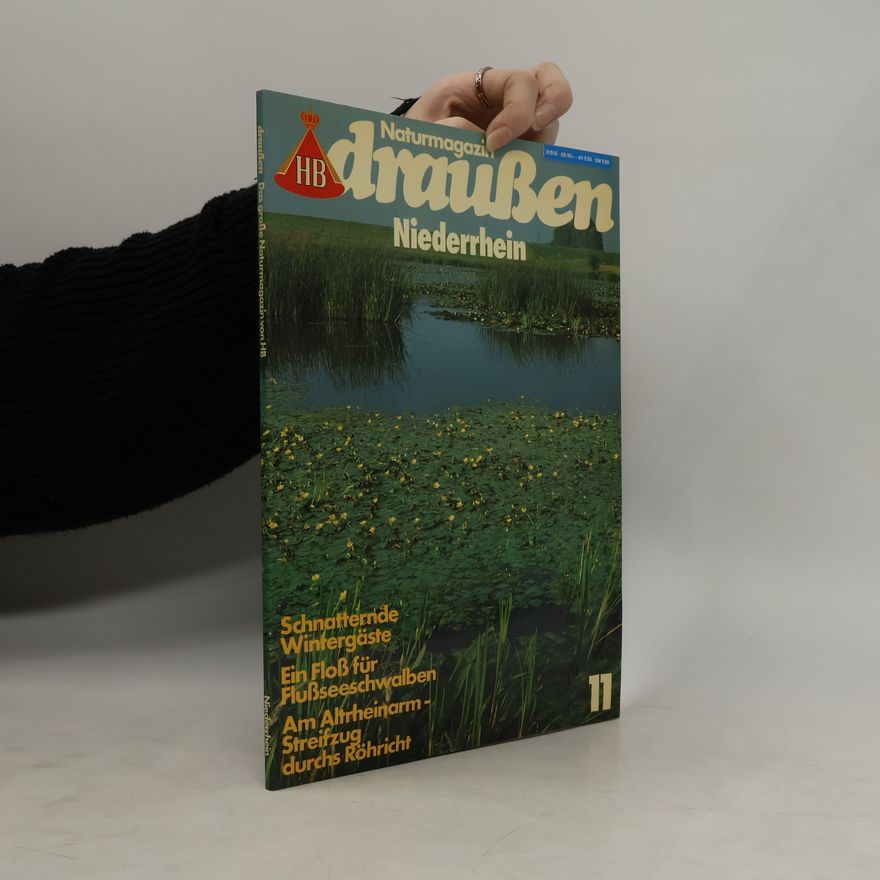 Collectif d'auteurs Draußsen 11