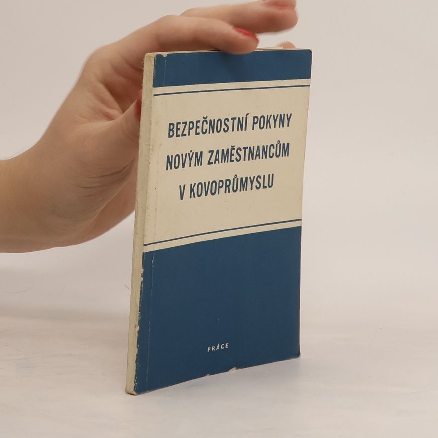 Autorenkollektiv Bezpečnostní pokyny novým zaměstnancům v kovoprůmyslu
