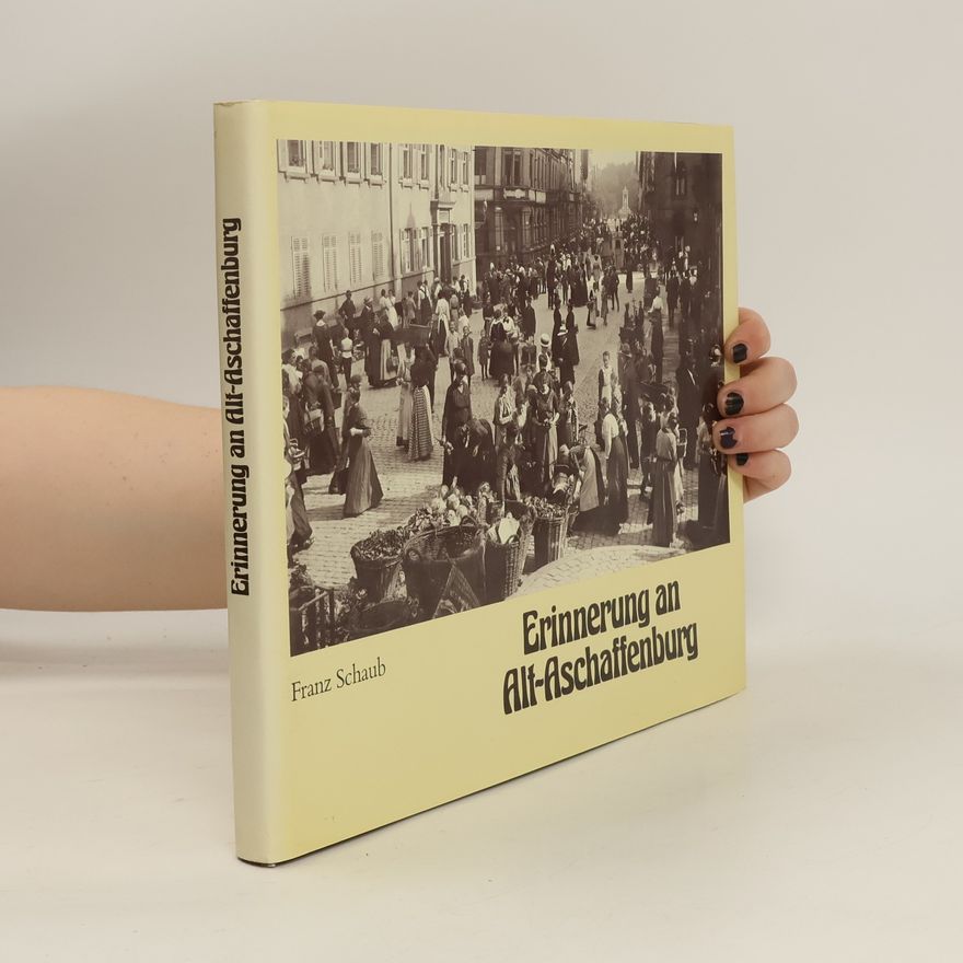 Franz Schaub Erinnerung an Alt-Aschaffenburg