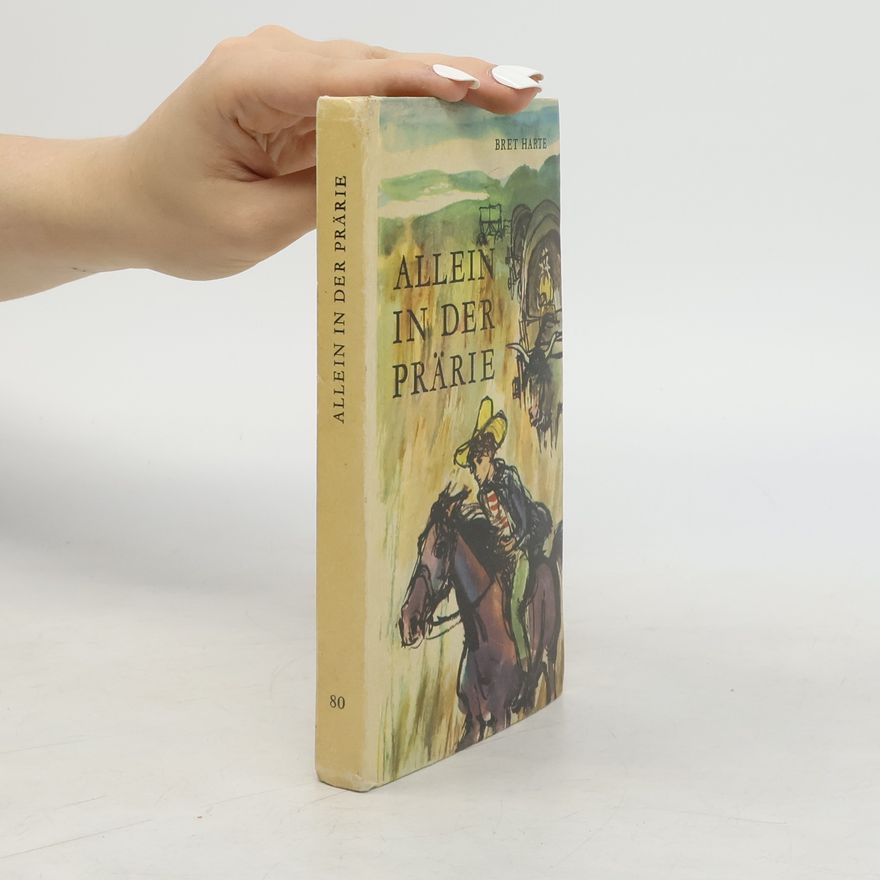 Francis Bret Harte Allein in der Prärie