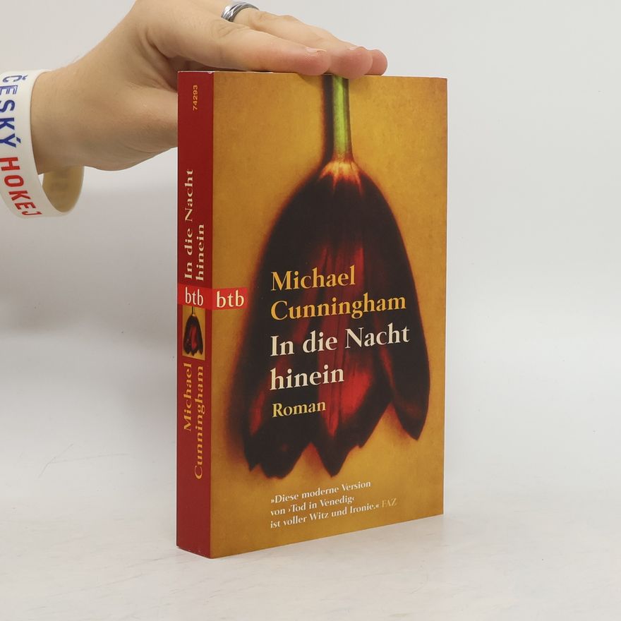 Michael Cunningham In die Nacht hinein