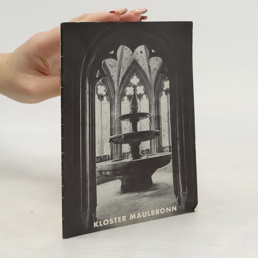 Kolektív autorov Kloster Maulbronn