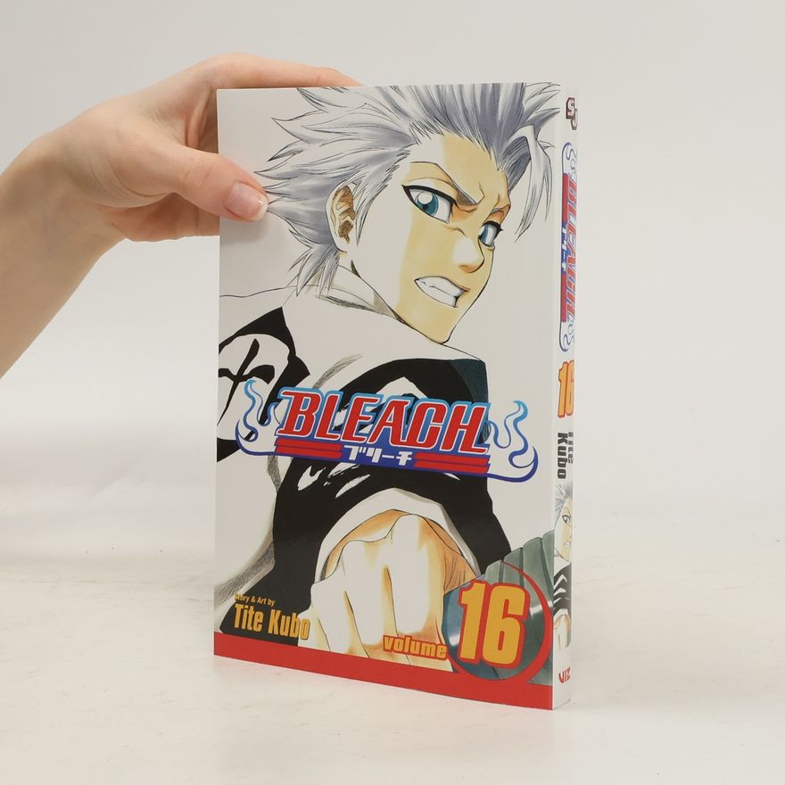 Tite Kubo Bleach, Volume 16